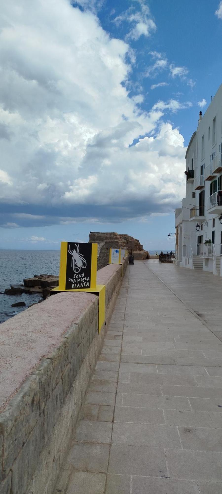 A Casa Di Ru, Bellissimo Appartamento Con Sauna Monopoli Bagian luar foto